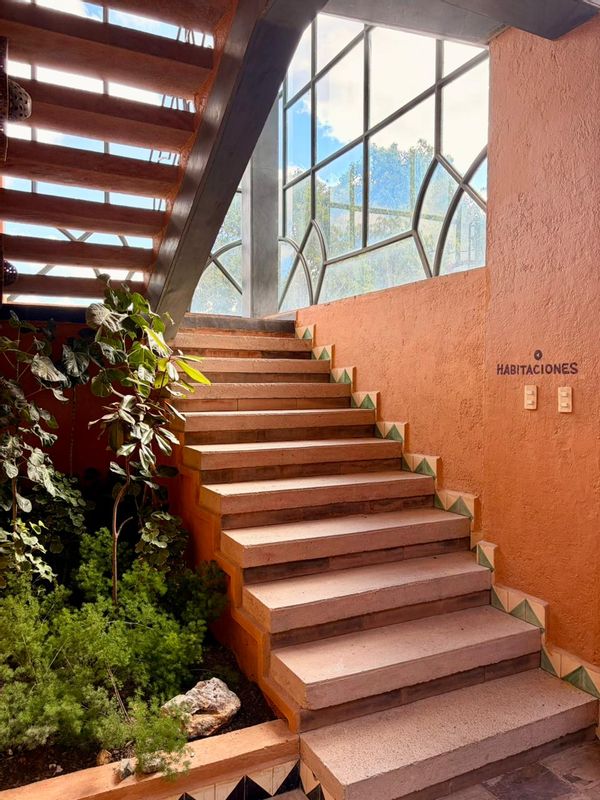 La maison de Frida Xanat