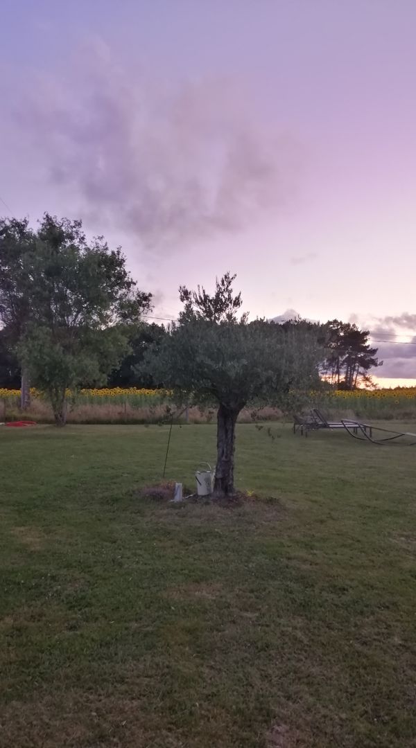 ma maison à la campagne