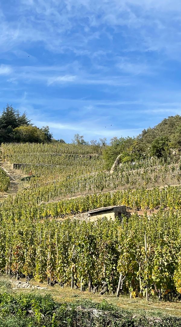 La maison de Ludivine et Guillaume en Ardèche