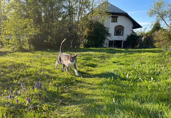 La maison de Laureline & Greg