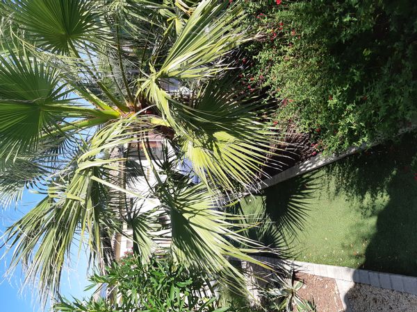 La maison de Frédéric