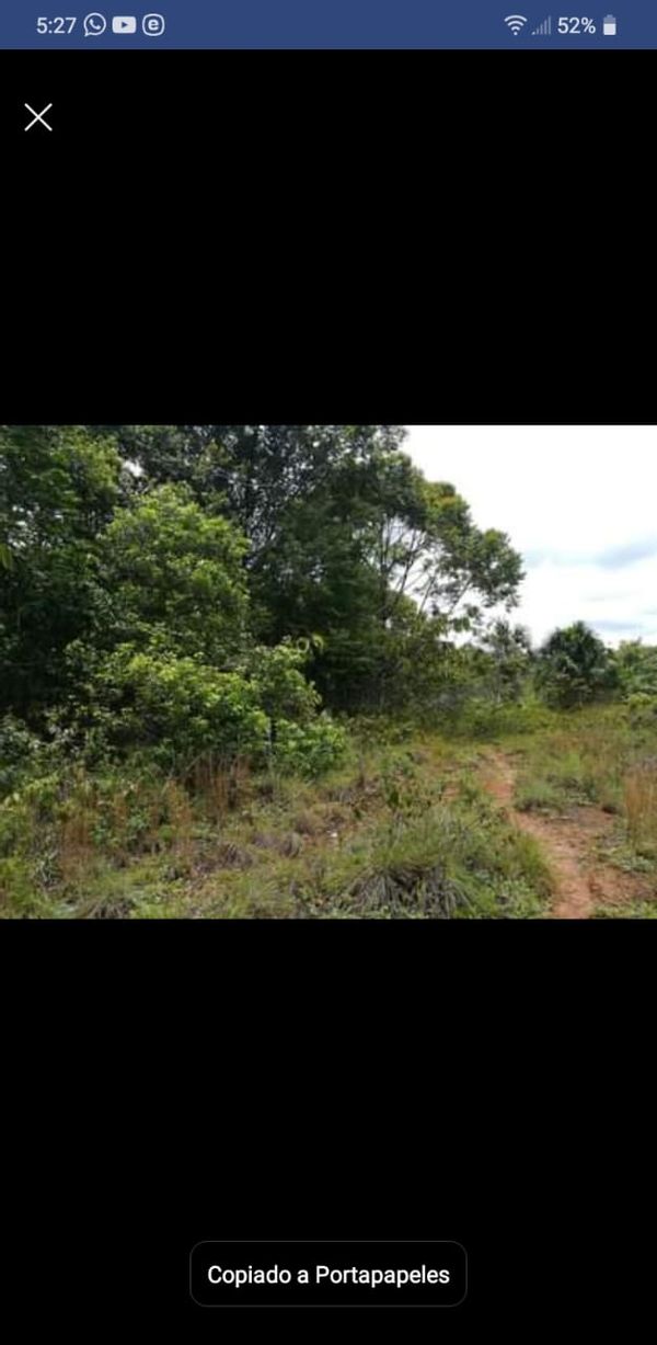 terreno agrícola con lagunas , ojos de agua ,cobas  frutales ,full vegetación