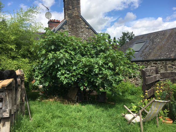 Maison bretonne atypique -