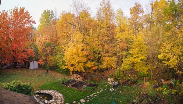 home