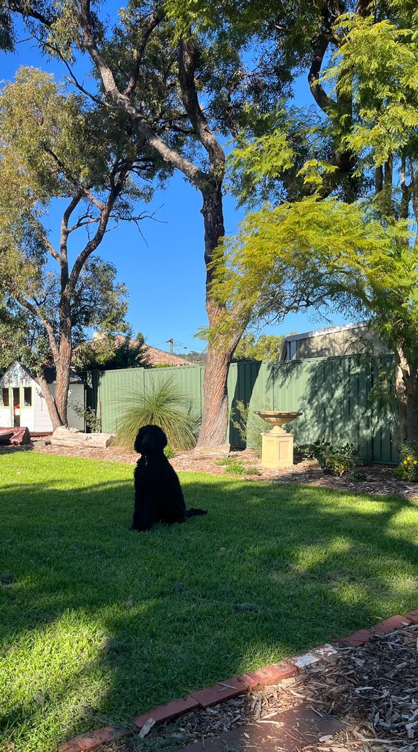 Spacious Family Home in the Perth Hills