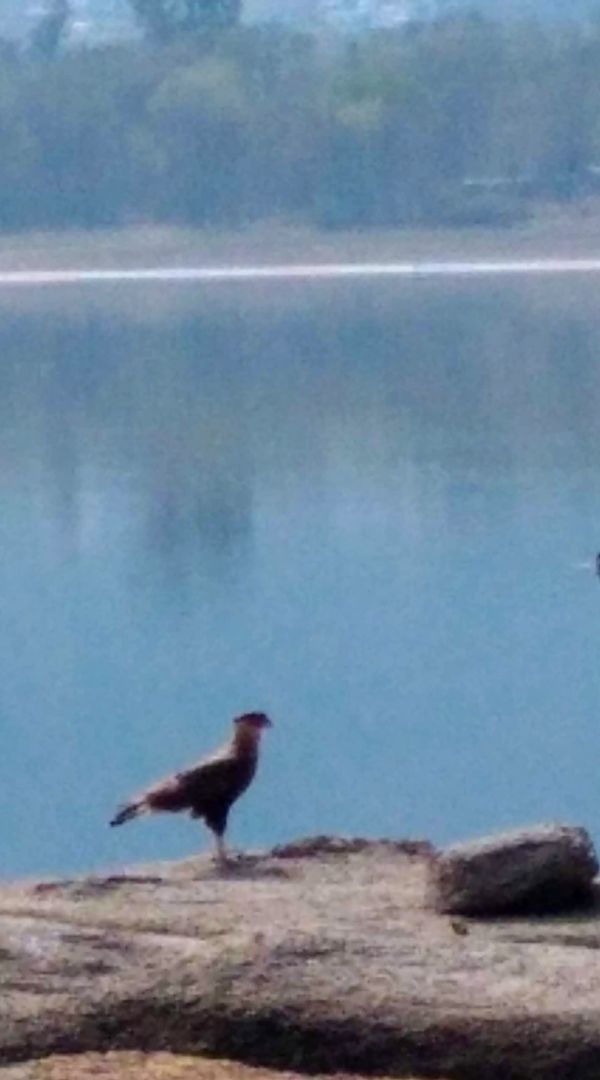 La maison de claudia