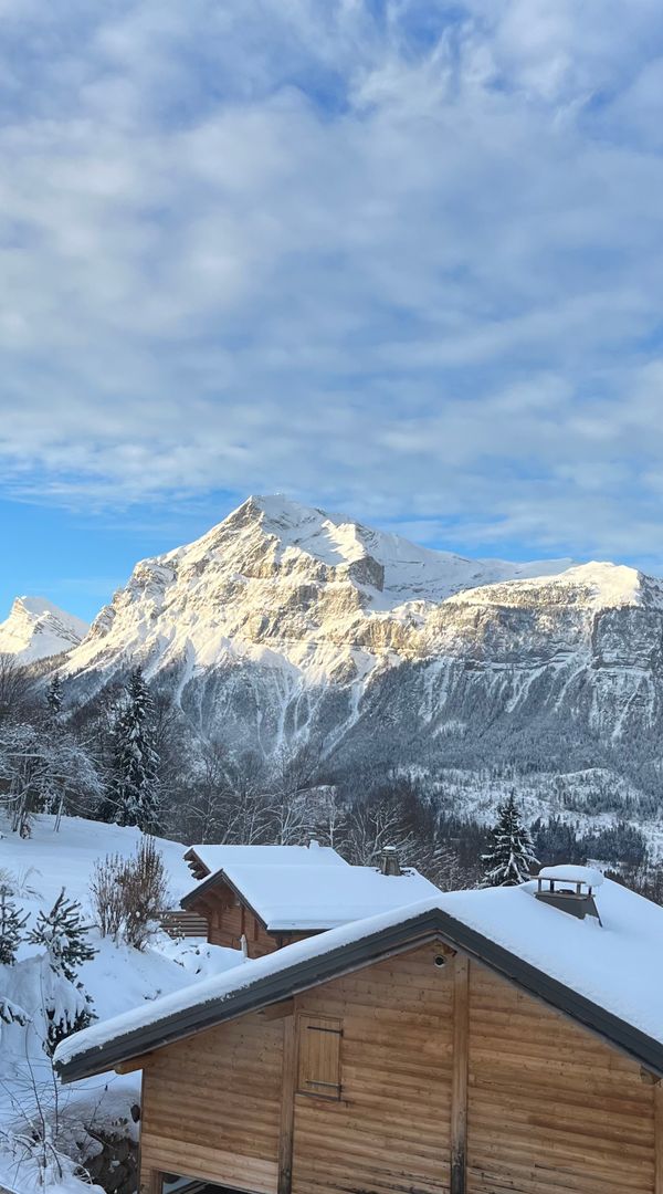 Beau Studio rénové récemment avec vue montagne aux Carroz d’arrache 5 nuit minimum