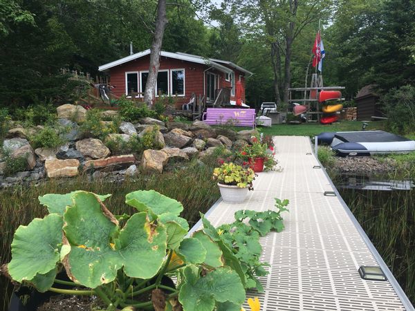 Lakefront with Nature, Swimming, Kayaks, Docks, Vegetable Garden, Ducks, Fish, Birds, Dark Night Sky