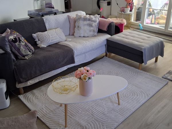 L'appartement de Linda ( et de ses 2 chats !)