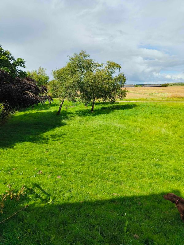 La maison de Katja Frydensbjerg