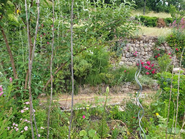 L'école des frères