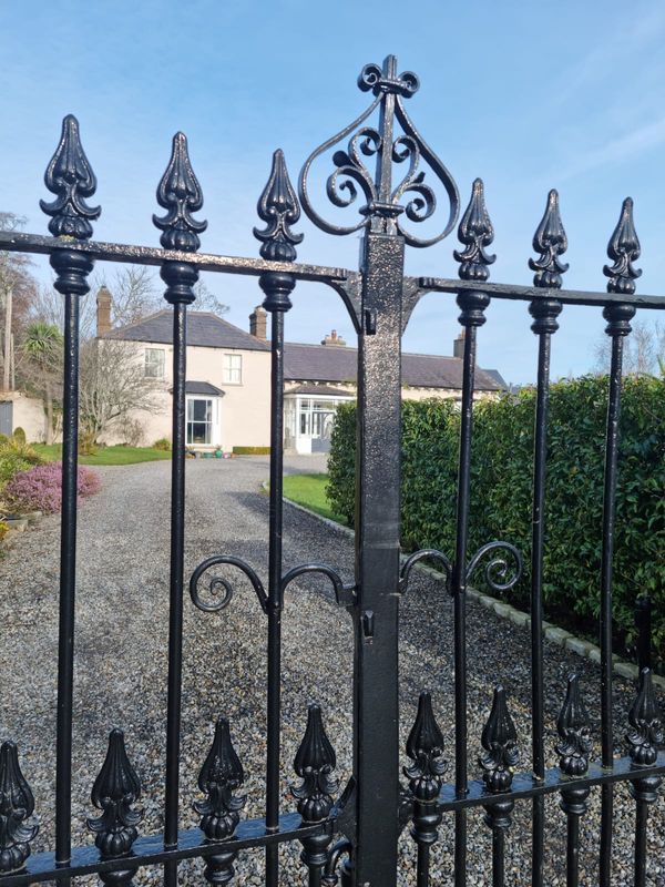 Raoul's house in South Dublin