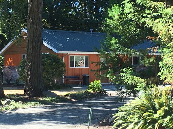 Jen's Forest Island Home