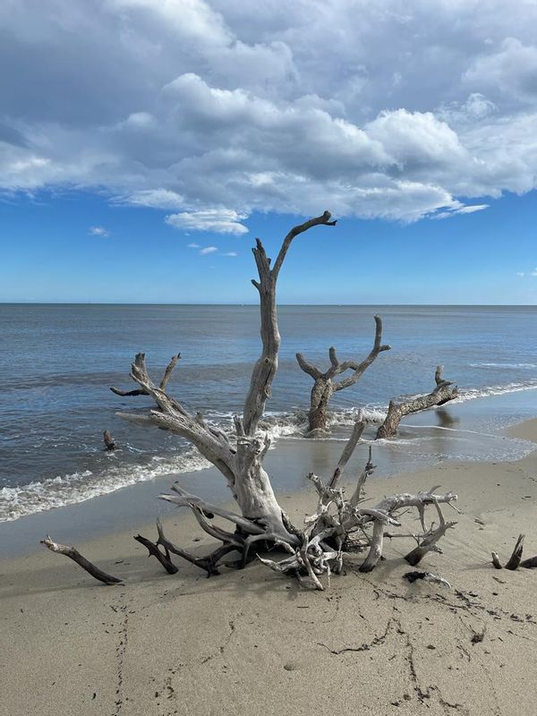 La maison de Elisabeth Libre pour Noël 