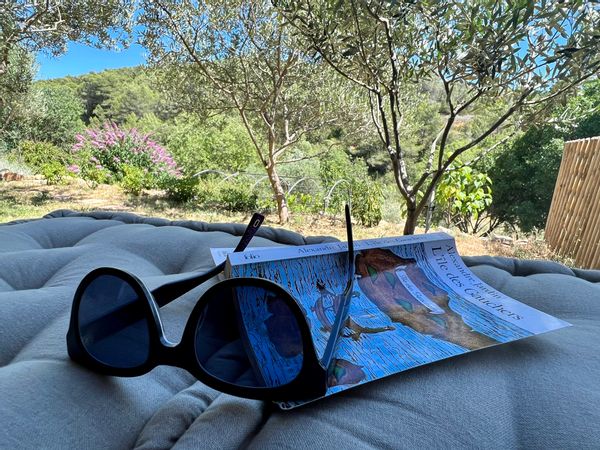 Maison au cœur des oliviers, entre pinède et vignes.