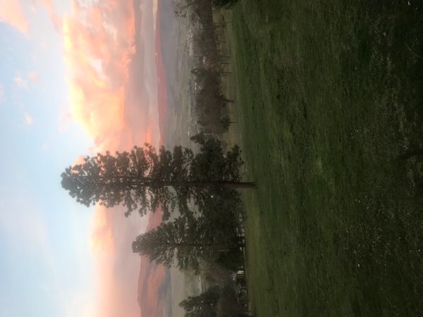 Hillside Home and Property Five Minutes from Downtown Ashland