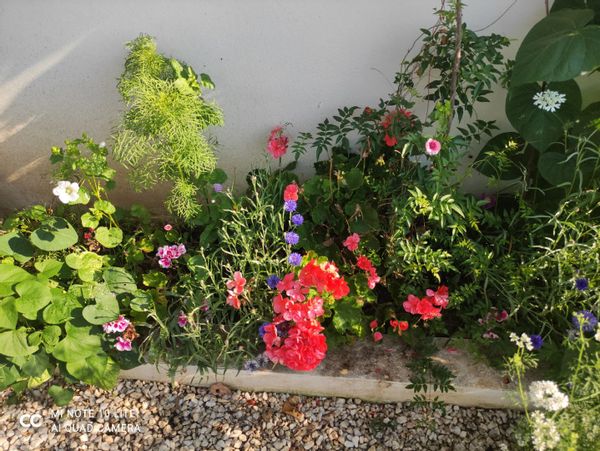 La maison de Ana María y Eva