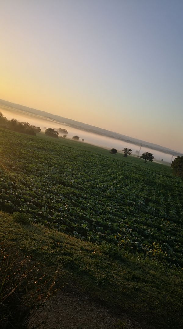 La maison de Céline & Junior