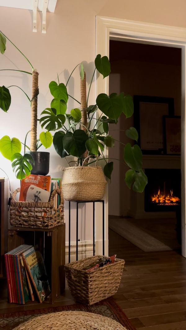 Appartement victorien  de Cindy