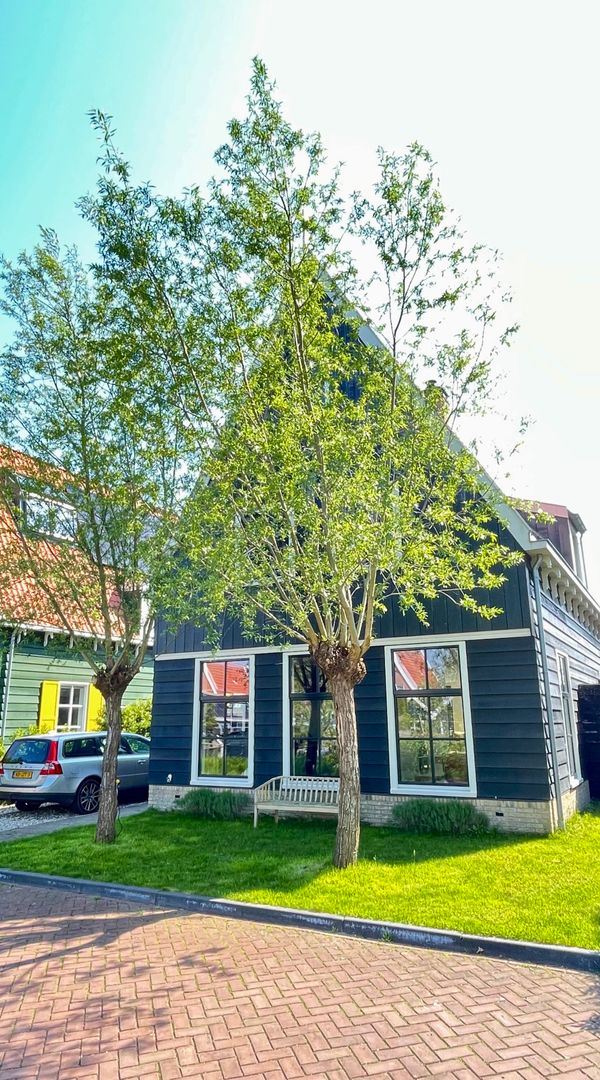 La maison de Patrick