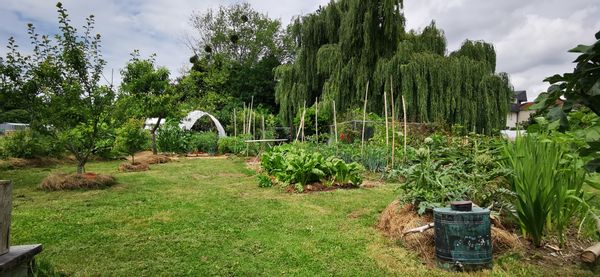 Maison bord de Loire, entre Angers, Nantes et le Puy du Fou Montjean sur Loire