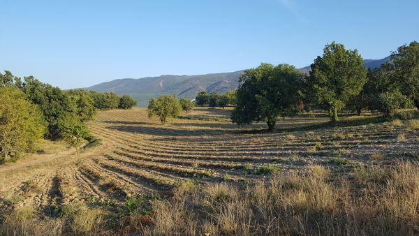 Home in Saignon