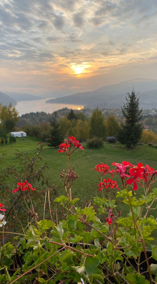 La maison de laurentiu