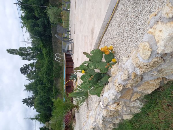 La maison de Sandrine et de Maxime,