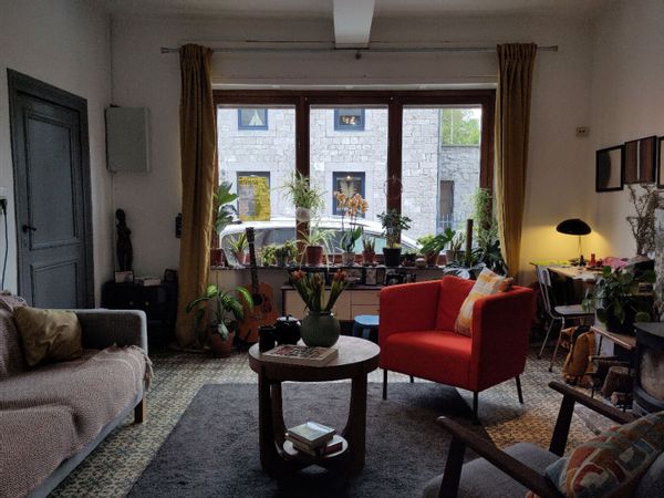 Delphines hus