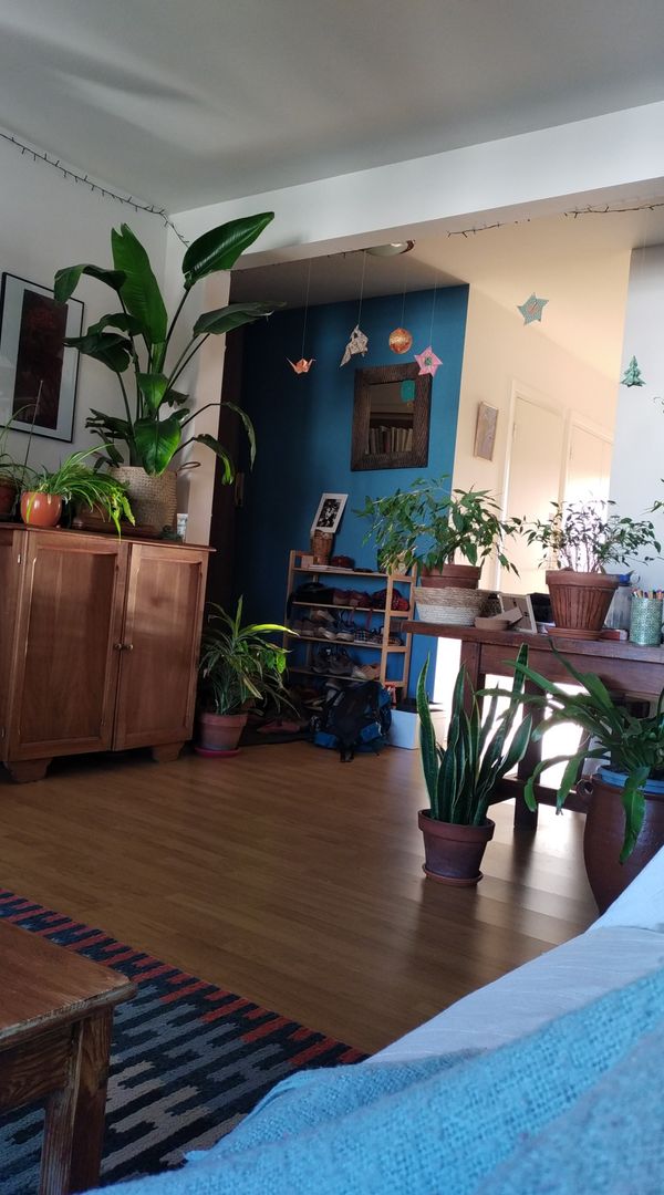 Casa di Caroline, Pierre-Mathieu et Norah