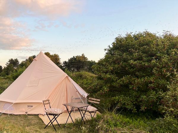 La maison de Suzanne