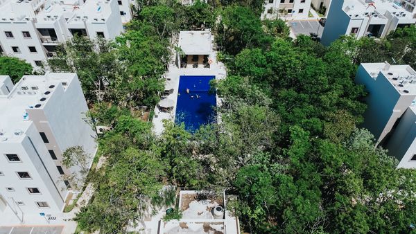 Condo Tropical