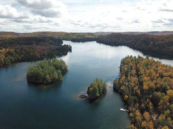 Studio privé au Coeur des Bois, au bord d'un majestueux lac