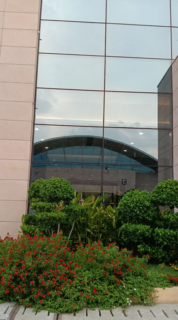 Casa de Globetrotter