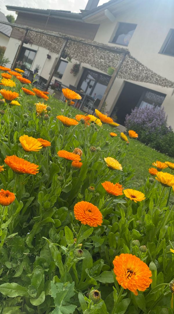 La maison de Claire & Mickaël