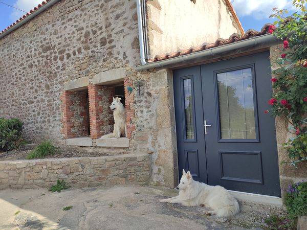 En plein ❤️ du bocage Vendéen Le domaine des fées vous propose Tėrence/Clochette domainedesfees.f