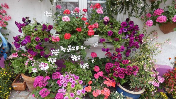 La maison de Claire et Christian en Baie de Somme