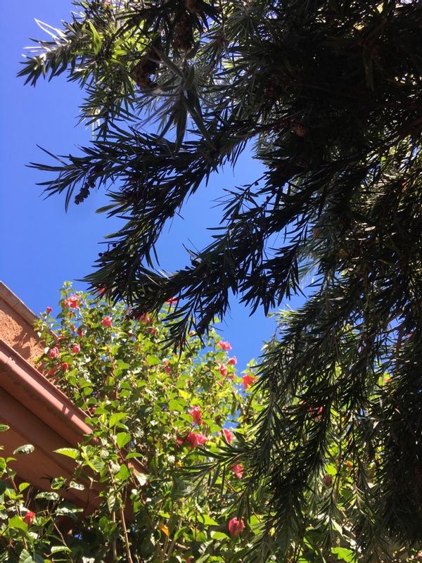 Casa di Jill