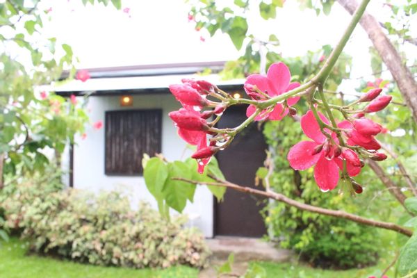 Huis in Tacloban City