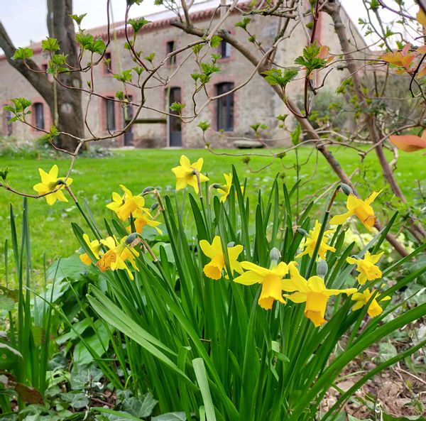 La maison de Anne & Pascal