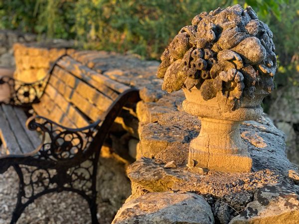 Des vacances au pays des cigales