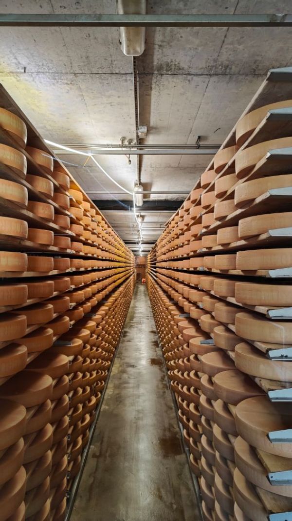 Casa de Stephane&Florence