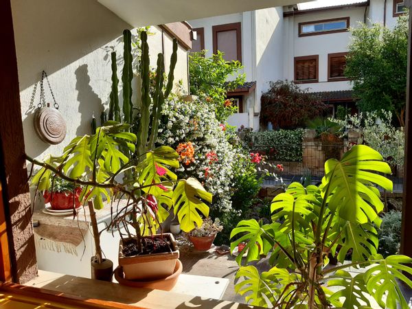 Casa de Elvia Ercolani