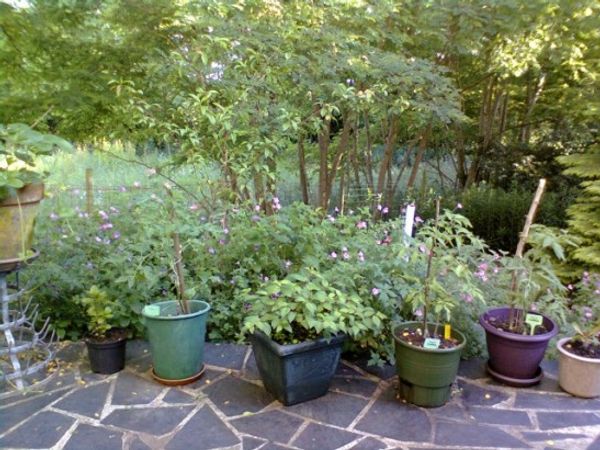 En Normandie, le Perche et ses collines chez Yves et Nicole