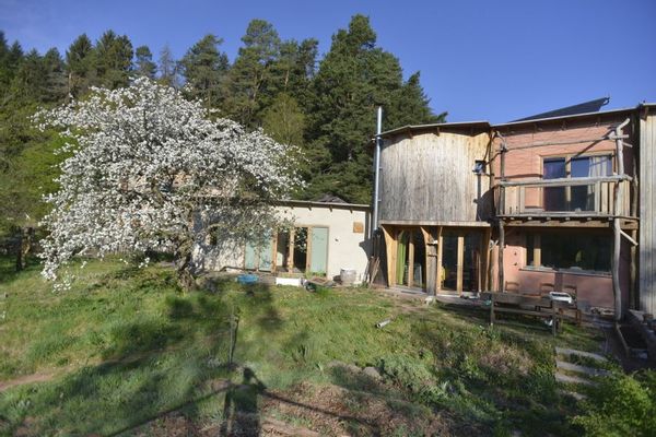 Ecolline : un éco-lieu en bordure de la forêt