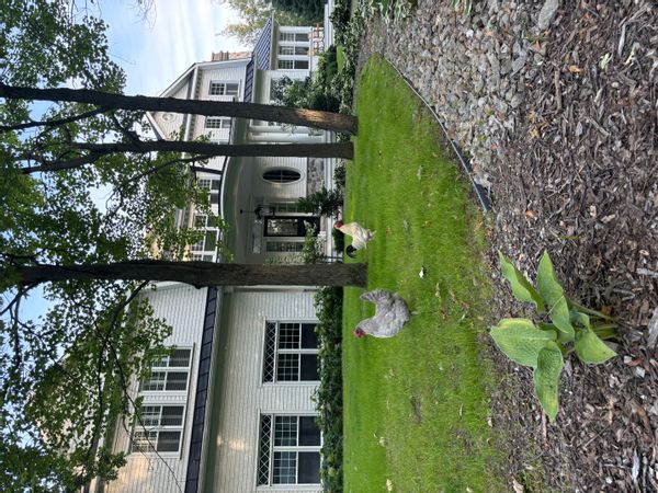 La maison de Cynthia