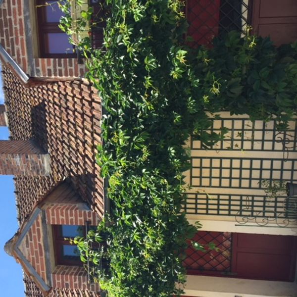 Nid douillet au cœur de La Sologne des étangs, 30´ châteaux de Chambord et Cheverny