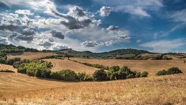 La chambre privée de Bernard