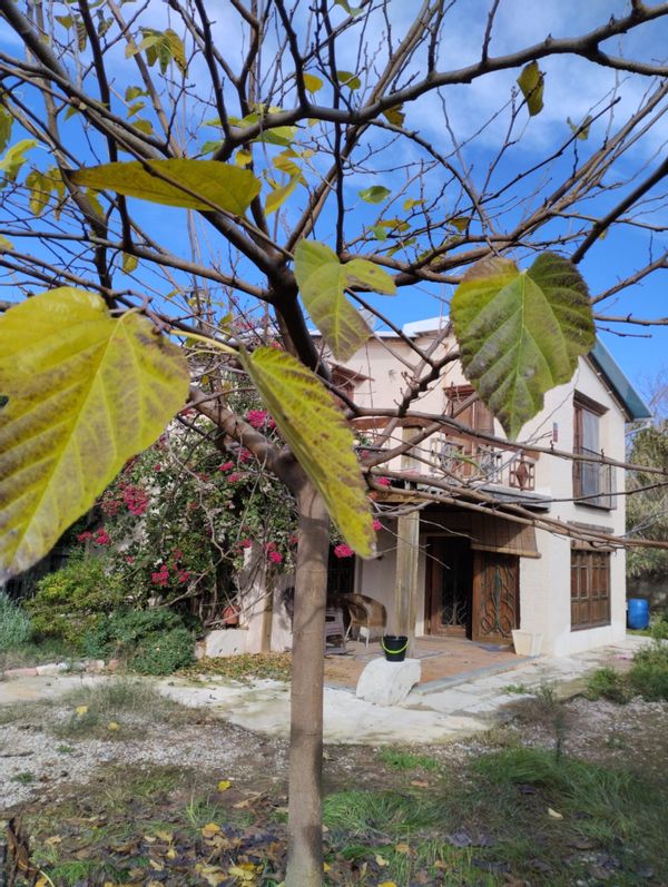 Casa di César