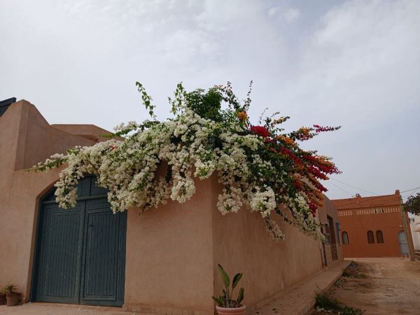 La chambre privée de Monique et Maati